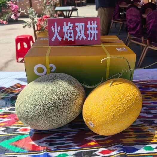 乌鲁木齐火焰双拼西周密25号+金色年华
