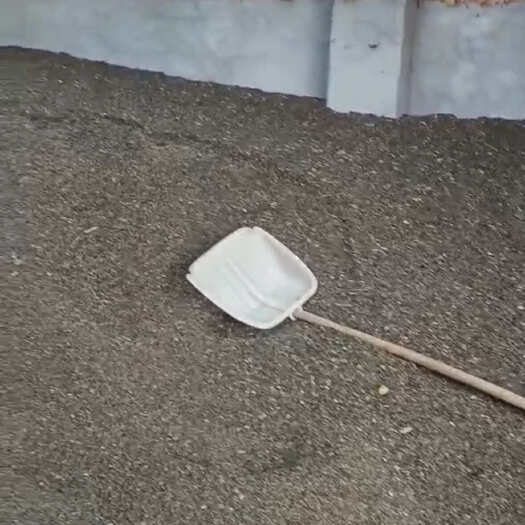 油葵籽，陈年货，价格面议！