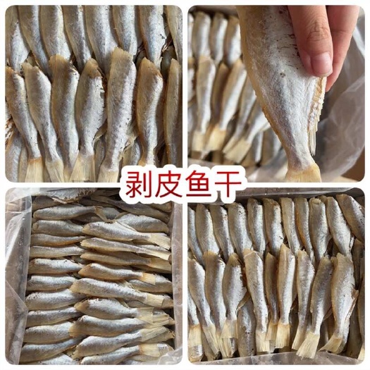 佛山剥皮鱼 地摊 电商 批发 目肉鱼干 干鱼 鱼干 剥皮鱼干干鱼