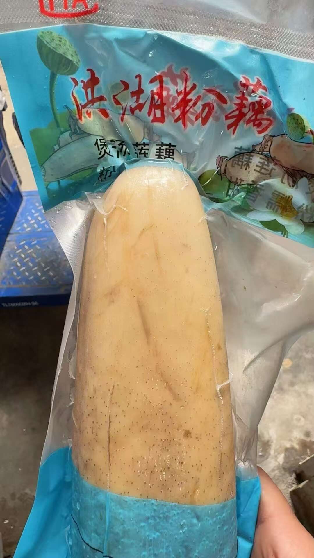洪湖莲藕，煲汤粉藕！真空单头蓝色独立包装！