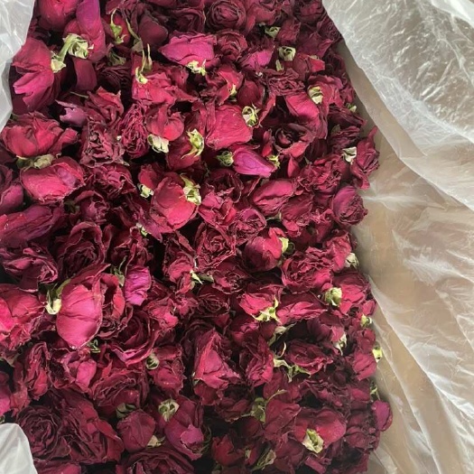昆明冻干墨红大货批发，一手货源