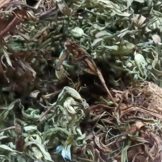 龙胆草，九头青干货