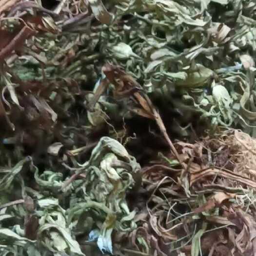 遂川县龙胆草，九头青干货