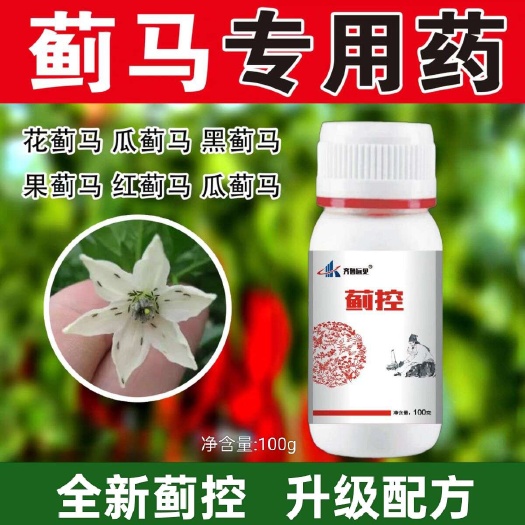 巨野县蓟马药蓟控专打抗性地区红蓟马黄蓟马花里蓟马虫卵双杀持效期长