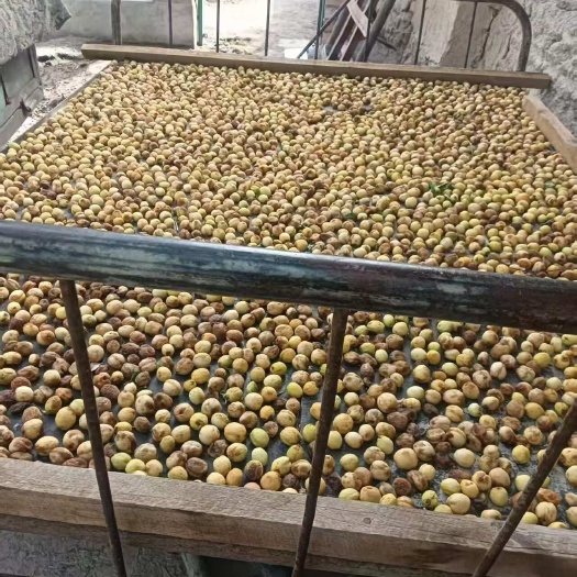 托克逊县吐鲁番白杏干