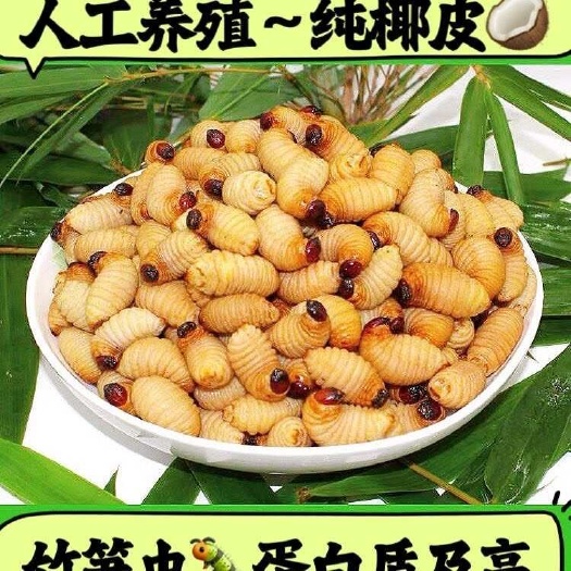 方正县新鲜速冻竹笋虫高蛋白酥脆可做零食下酒菜的竹虫