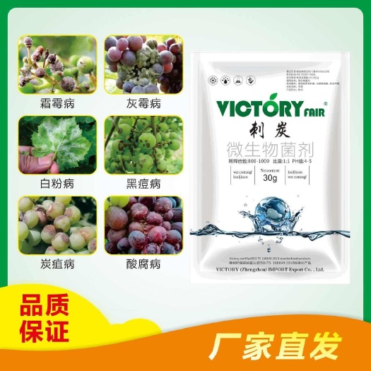 长沙刺炭炭疽病专用葡萄炭疽病病斑以菌治菌葡萄专用