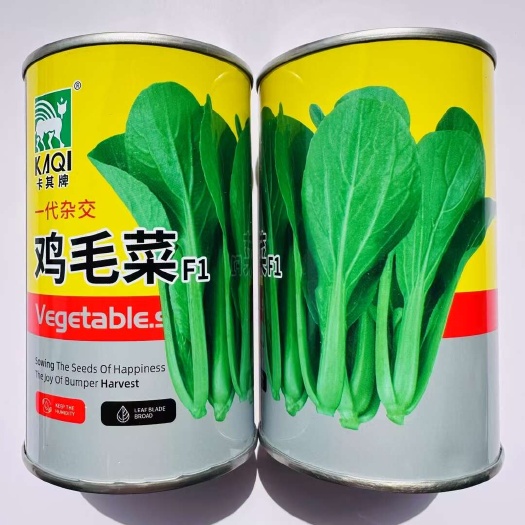宿迁抗病耐热鸡毛菜种子 萌PK-14031鸡毛菜种子可四季种植