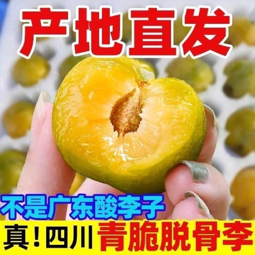 大邑县【现货发货】正宗四川青脆脱骨李脆甜李子农家李大果应季新鲜水果