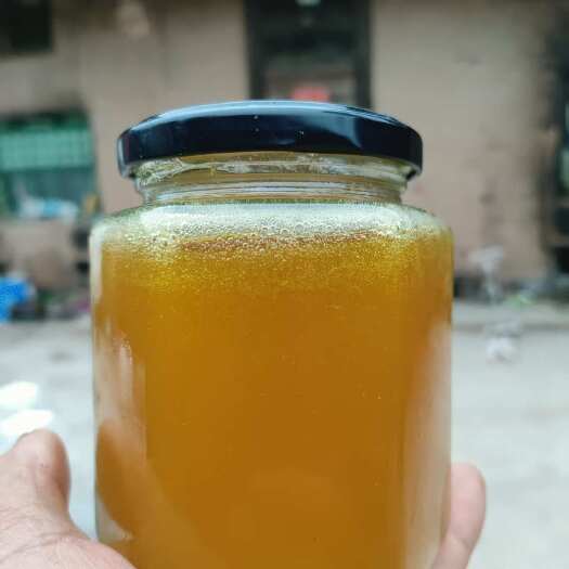 深山老大树里取的野生土蜜玻璃瓶1斤装液体新蜜，