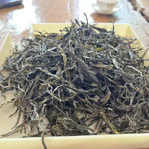 义乌市冰岛古树茶