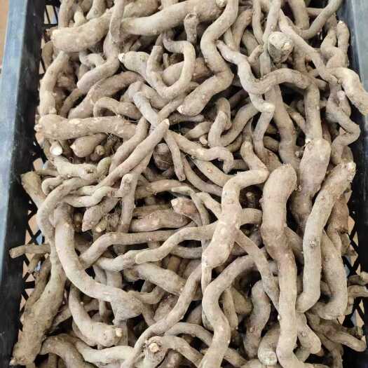 富源县种植用