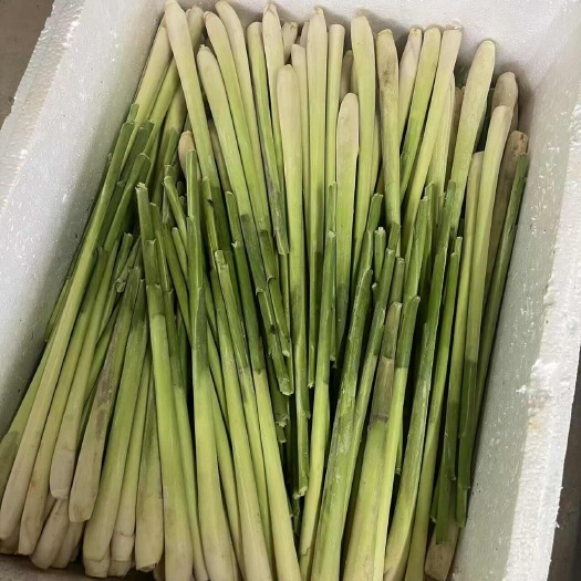 东莞市柠檬香茅草，柠檬叶，芭蕉叶，青木瓜，南姜，现割现发
