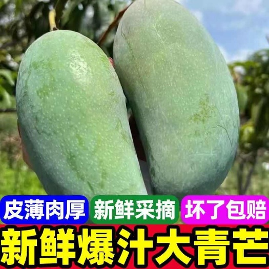 昆明芒果云南大青芒苹果芒苔农一件代发一件代发