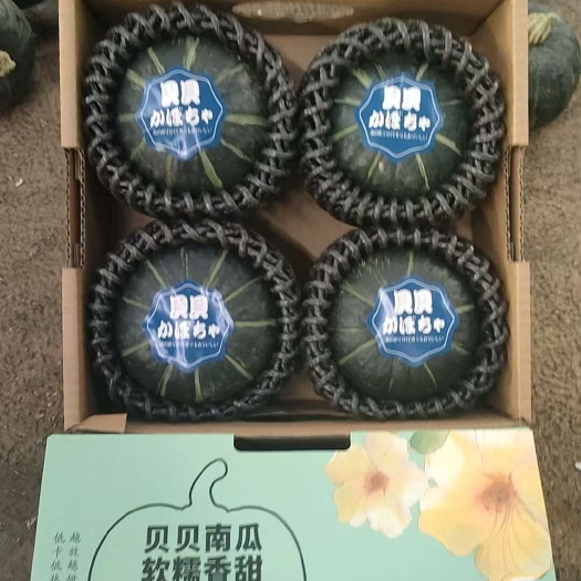 海阳市国产麻籽贝贝南瓜粉糯香甜