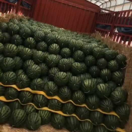 花皮美都 大棚 露天 有籽 无籽 都有现货欢迎咨询洽谈