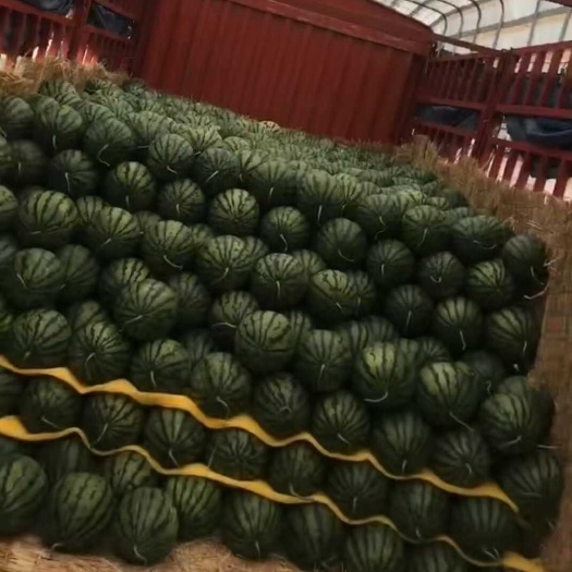 松滋市花皮美都 大棚 露天 有籽 无籽 都有现货欢迎咨询洽谈