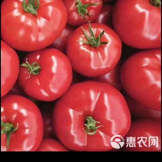 菏泽2000斤起批