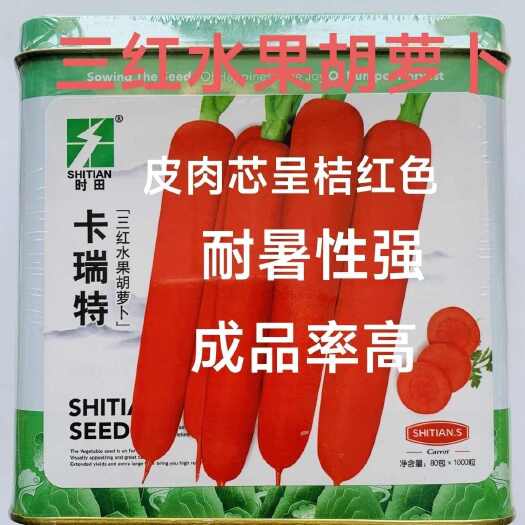 沭阳县卡瑞特三红水果胡萝卜种子脆甜爽口三红红色胡萝卜种子耐暑性强