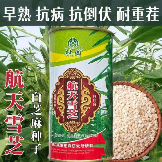 沭阳县航天雪芝白芝麻种子抗重茬高油高产芝麻种籽矮杆蒴果八棱出油率高