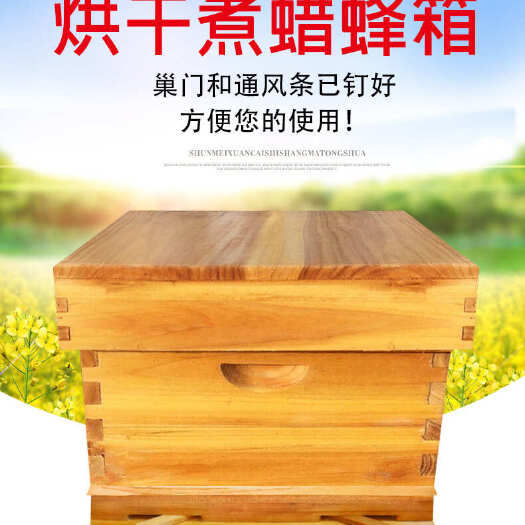 蜂箱 中蜂意蜂煮蜡标准蜂箱巢框平箱养蜂工具巢础十框蜂箱全套