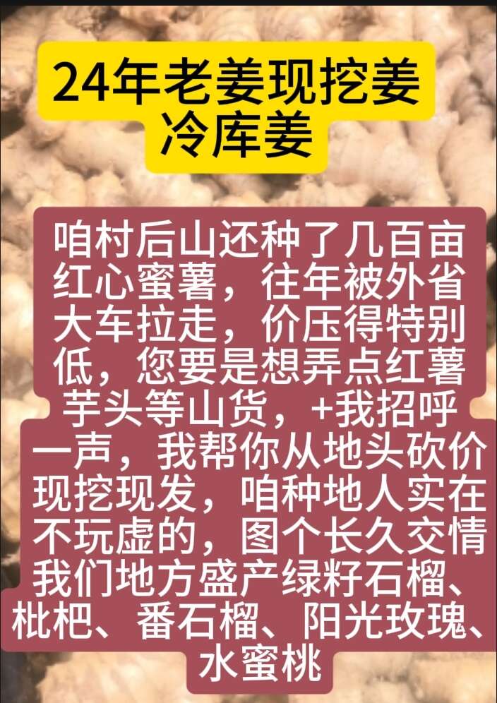 云南小黄姜生姜老姜电商货市场货精品姜
标价是零售价批发更便宜