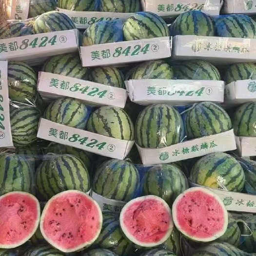 宜城市有籽美都大量供应需要的