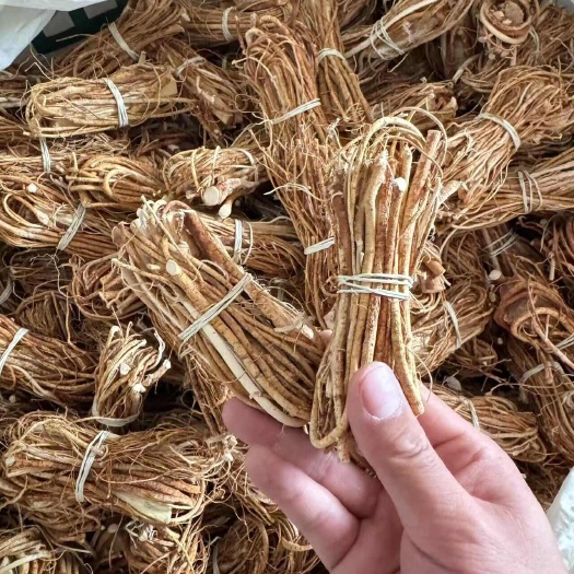 玉林五指毛桃