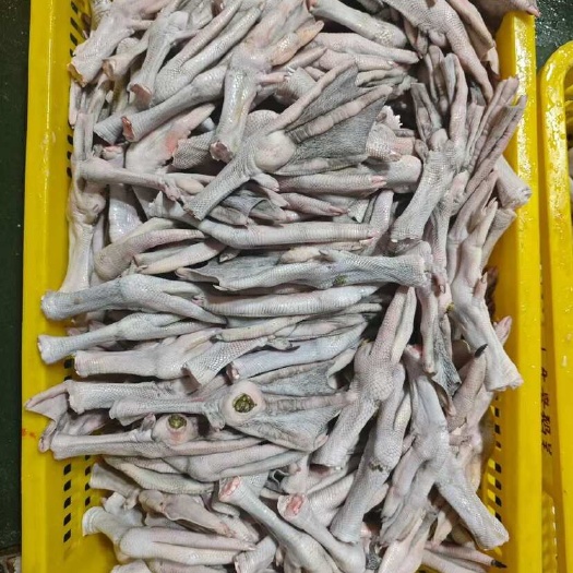 优质鹅掌 广东佛山直发 高品质禽畜肉蛋类产品