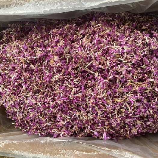 昆明紫色石斛花大货批发