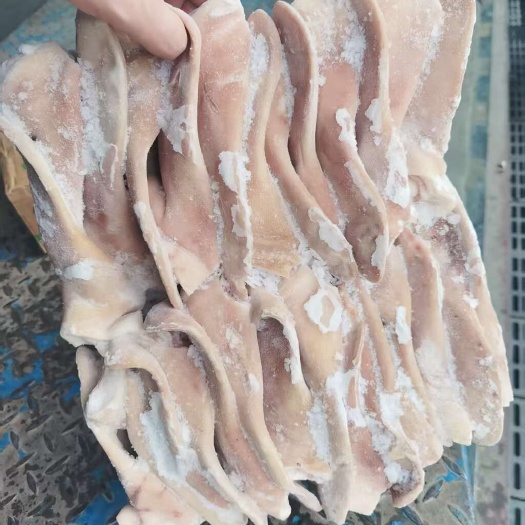 高碑店市河北保定高碑店优质猪耳朵 禽畜肉蛋类新鲜食材