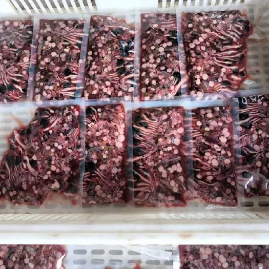 鞭  中华草龟龟鞭