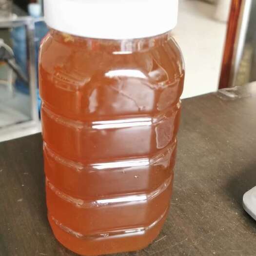 荔枝蜜 纯正天然蜂农自产营养滋补新鲜原酿蜜