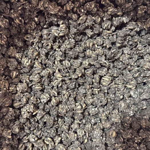 息县猫爪草产地直销，零售，批发，质量保证，信誉第一，各种规格。