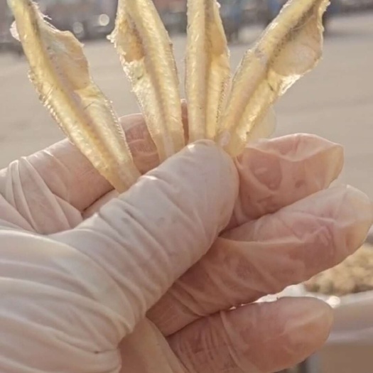 滨州水晶鱼干，干度好收拾的干净！干煸辣炒做汤麻辣鱼都好吃