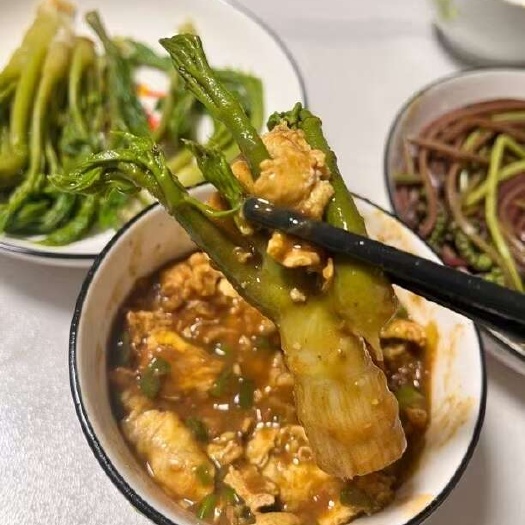 东北山野菜刺嫩芽现摘现发新鲜时令野菜蔬菜二斤