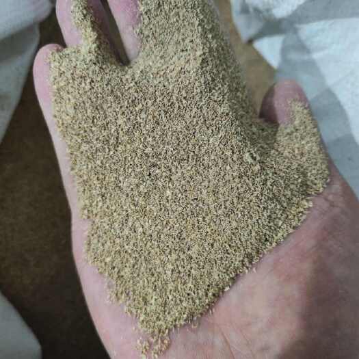 青岛黄粉虫虫沙