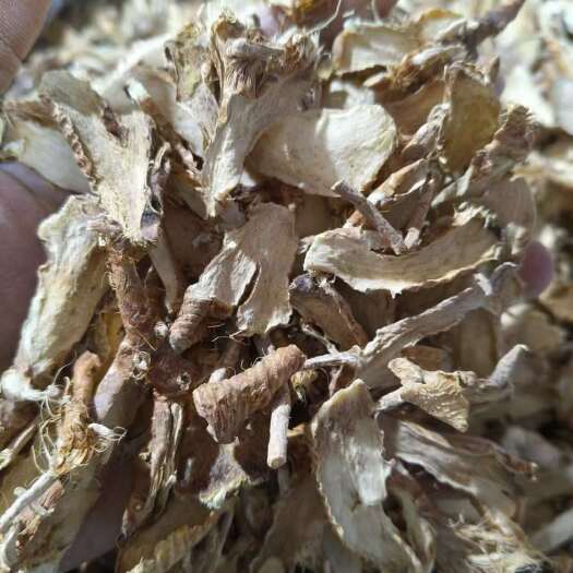 知母中药材 安徽亳州源头供货 干燥根茎药材批发零售