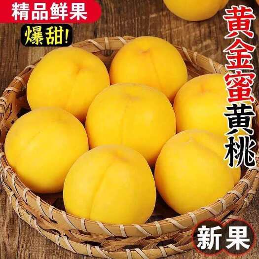 宜宾大黄桃应季新鲜采摘孕妇水果产地直发
