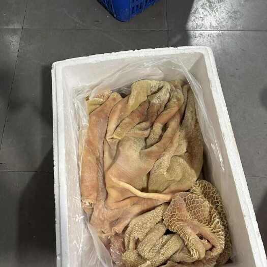 广州新鲜飞水牛肚，好货带金钱肚