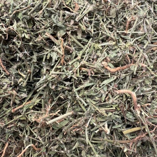 玉林萹蓄