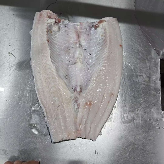 长丰县新鲜花白鲢草鱼及鱼块鱼身鱼头批发 供货稳定 品质优良