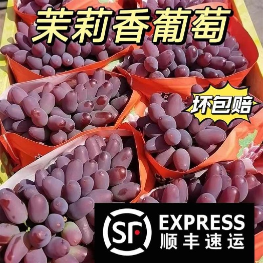 沈阳东北茉莉香葡萄新鲜采摘4-4.5斤整串4~8串装包邮郁金