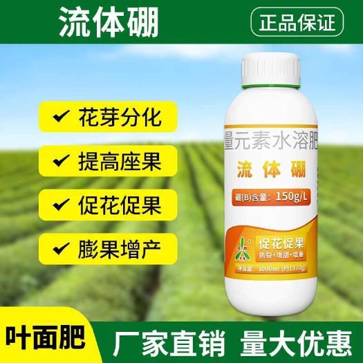 潍坊流体硼促进花芽分化保花保果液体黄金螯合小分子硼促进钙吸收