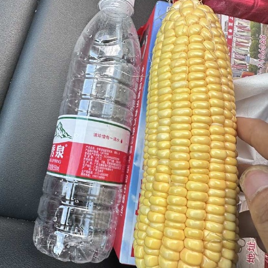 紫金县水果玉米