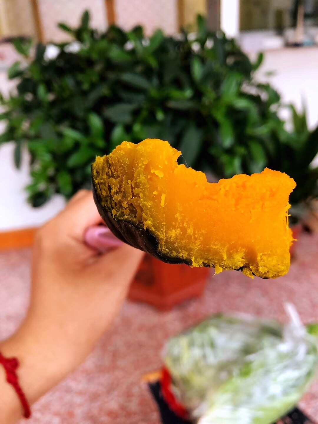 贝贝南瓜