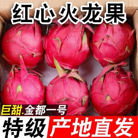产地直发】红心火龙果新鲜现摘超甜红肉正宗金都一号应季水果批发