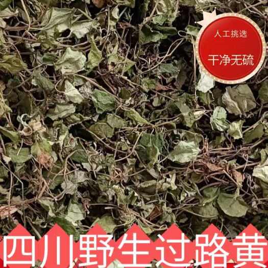 金钱草中草药结石肾四川小叶金钱草