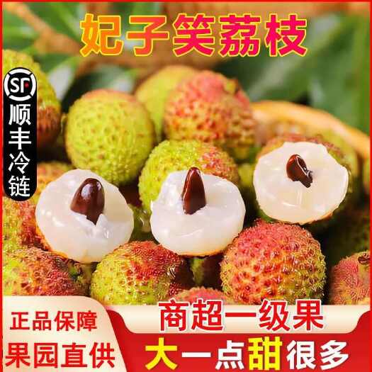 三亚海南妃子笑荔枝当季现摘新鲜水果核小礼盒