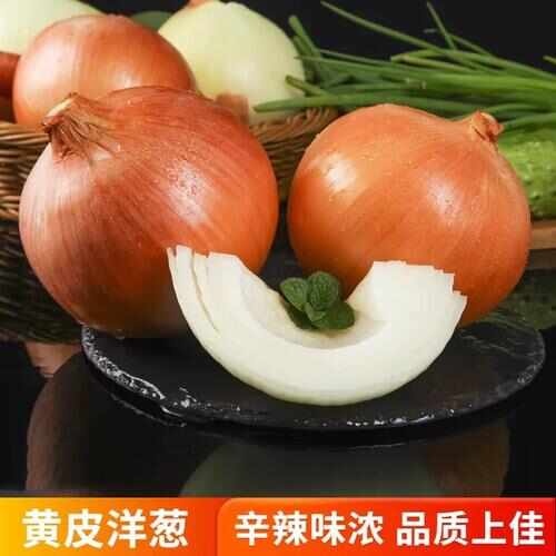 夏邑县【推荐】黄皮洋葱，品质上佳！产地直发，质量保证！